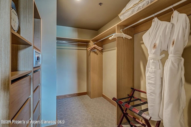 130 Wood Rd Unit 625, Snowmass Village, CO 81615 - view of spacious closet