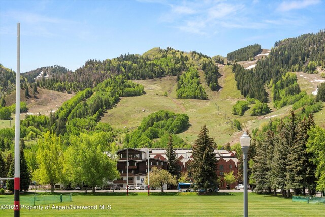 301 E Hyman Avenue 207, Weeks 35,36,48, Aspen, CO 81611 - photo 6