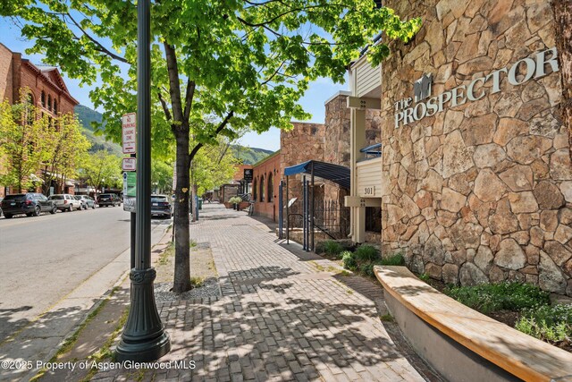 301 E Hyman Avenue 207, Weeks 35,36,48, Aspen, CO 81611 - photo 3