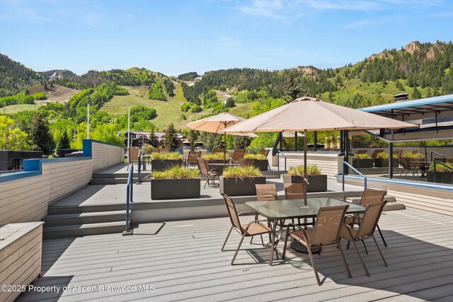 301 E Hyman Avenue 207, Weeks 35,36,48, Aspen, CO 81611 - photo 8