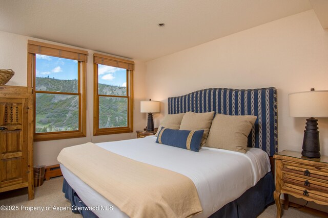 425 Wood Rd Unit 48, Snowmass Village, CO 81615 - bedroom featuring light carpet and baseboard heating