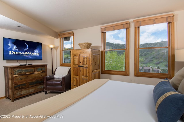 425 Wood Rd Unit 48, Snowmass Village, CO 81615 - bedroom featuring carpet flooring