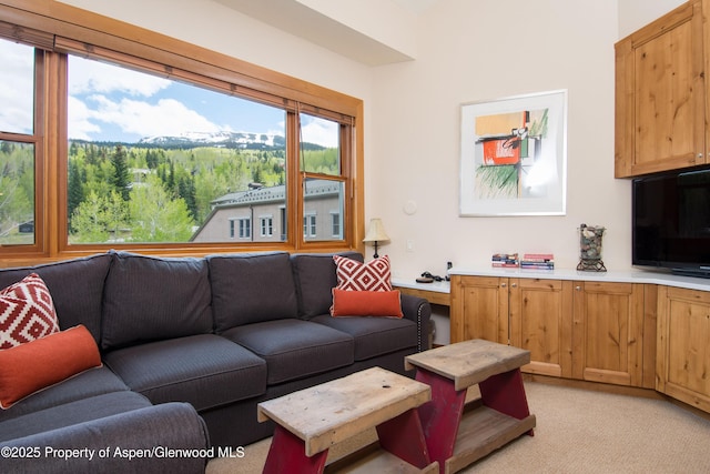 425 Wood Rd Unit 48, Snowmass Village, CO 81615 - living room with light carpet