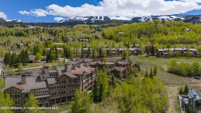 425 Wood Rd Unit 48, Snowmass Village, CO 81615 - drone / aerial view of a mountainous background