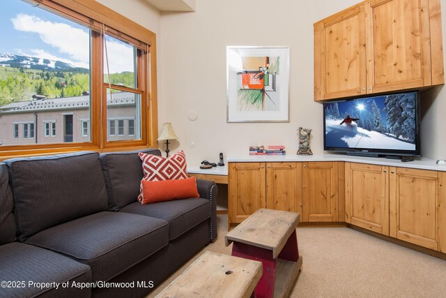 425 Wood Rd Unit 48, Snowmass Village, CO 81615 - living area with light colored carpet