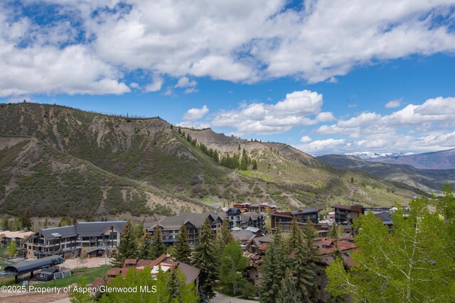 425 Wood Rd Unit 48, Snowmass Village, CO 81615 - mountain view