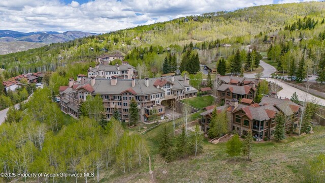 425 Wood Rd Unit 48, Snowmass Village, CO 81615 - aerial view of property's location featuring a mountainous background and a heavily wooded area