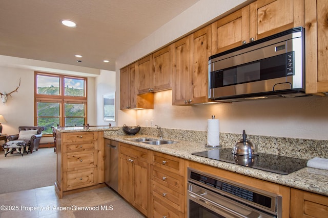 425 Wood Rd Unit 48, Snowmass Village, CO 81615 - kitchen with stainless steel appliances, a sink, recessed lighting, light stone counters, and light carpet
