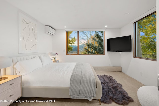 699 Eppley Dr, Aspen, CO 81611 - photo 21