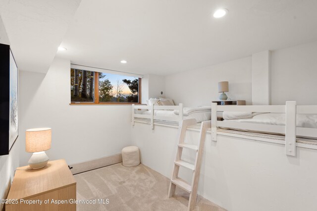 699 Eppley Dr, Aspen, CO 81611 - photo 26