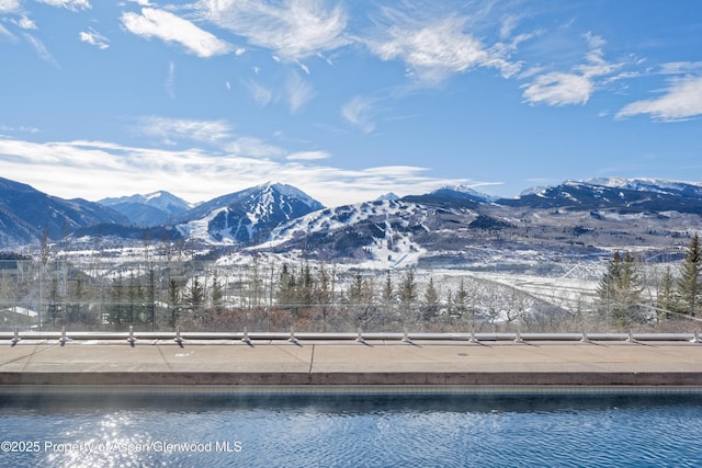 699 Eppley Dr, Aspen, CO 81611 - photo 38