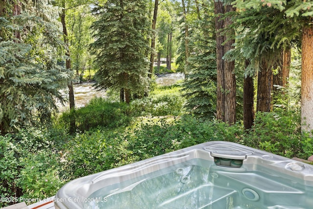 256 Twining Flats Rd, Aspen, CO 81611 - photo 5