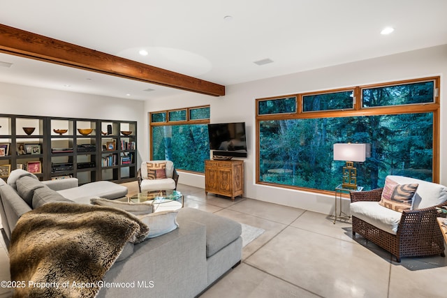 256 Twining Flats Rd, Aspen, CO 81611 - photo 14