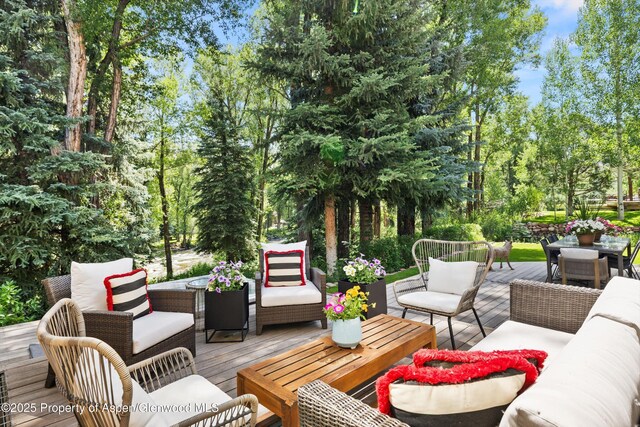 256 Twining Flats Rd, Aspen, CO 81611 - photo 6