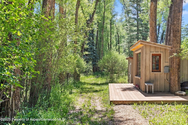 256 Twining Flats Rd, Aspen, CO 81611 - photo 7
