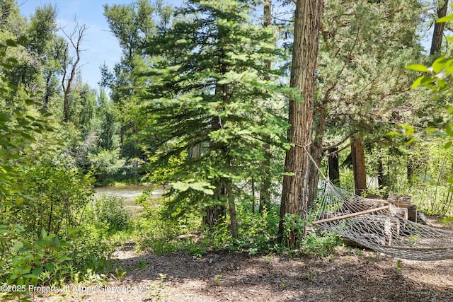256 Twining Flats Rd, Aspen, CO 81611 - photo 8