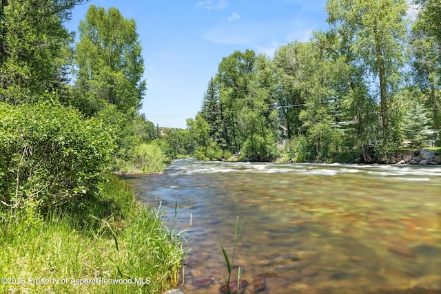 256 Twining Flats Rd, Aspen, CO 81611 - photo 9
