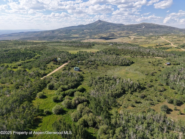 276 Sycamore Rd Lot 288, Craig, CO 81625 - photo 6