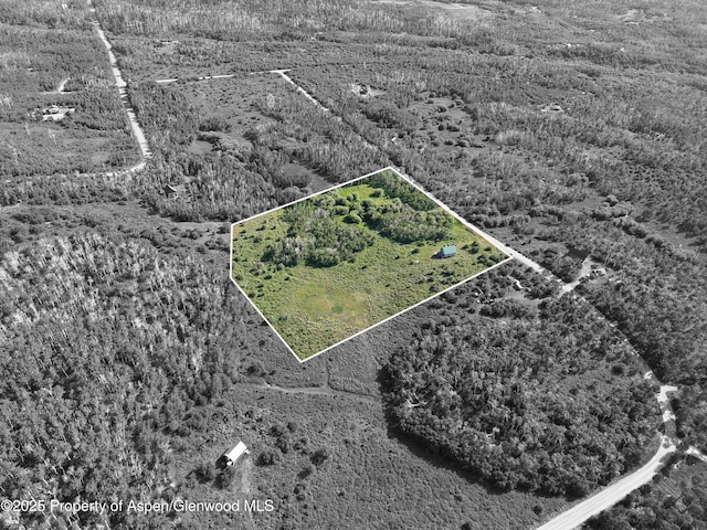 276 Sycamore Rd Lot 288, Craig, CO 81625 - photo 9