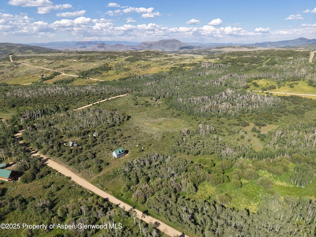 276 Sycamore Rd Lot 288, Craig, CO 81625 - photo 4
