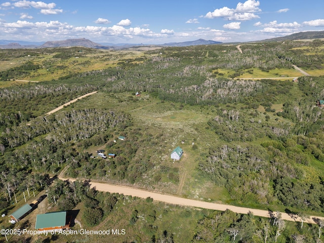 276 Sycamore Rd Lot 288, Craig, CO 81625 - photo 5