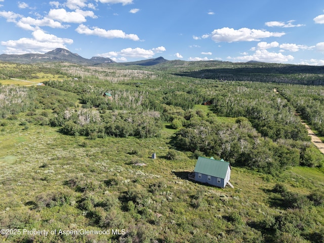 276 Sycamore Rd Lot 288, Craig, CO 81625 - photo 13
