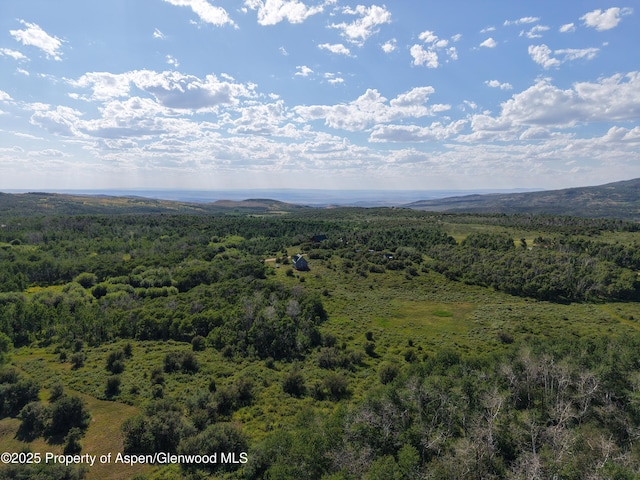 276 Sycamore Rd Lot 288, Craig, CO 81625 - photo 12