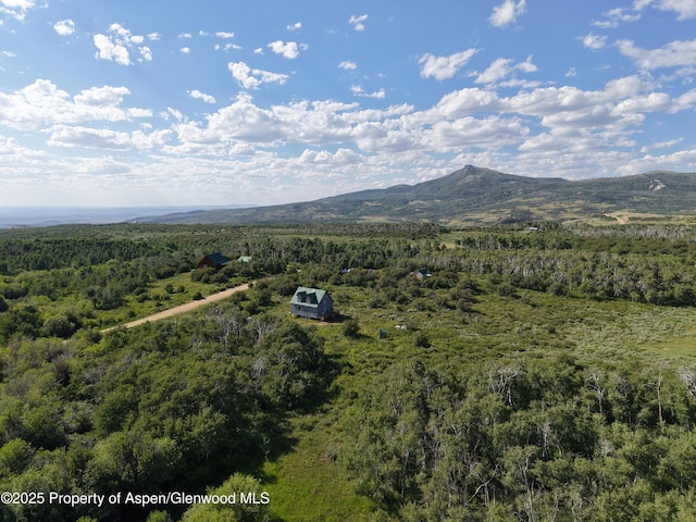 276 Sycamore Rd Lot 288, Craig, CO 81625 - photo 10
