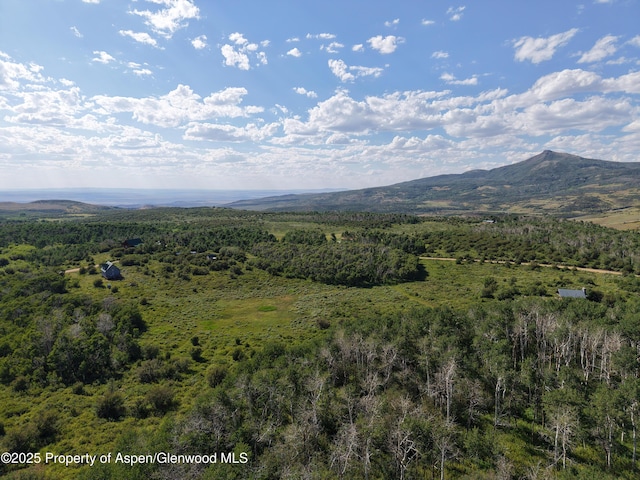 276 Sycamore Rd Lot 288, Craig, CO 81625 - photo 11