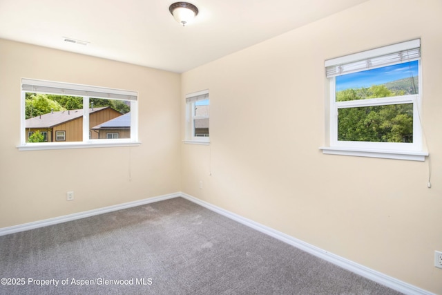 117 White Horse Pl, Glenwood Springs, CO 81601 - photo 13