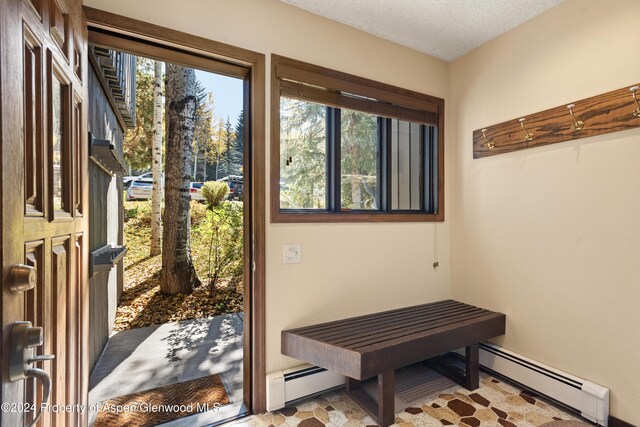 211 Meadow Ranch Dr Unit D5A, Snowmass Village, CO 81615 - entryway with a baseboard radiator and a textured ceiling