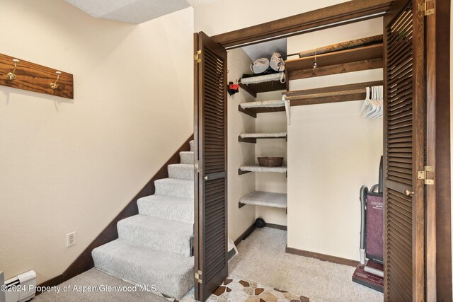 211 Meadow Ranch Dr Unit D5A, Snowmass Village, CO 81615 - walk in closet with carpet