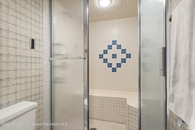 211 Meadow Ranch Dr Unit D5A, Snowmass Village, CO 81615 - bathroom with a stall shower, toilet, and tile walls