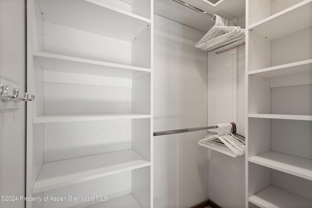 211 Meadow Ranch Dr Unit D5A, Snowmass Village, CO 81615 - view of walk in closet