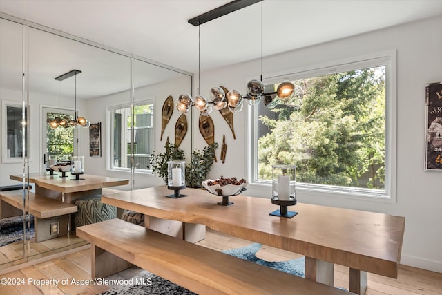 dining room featuring light hardwood / wood-style flooring