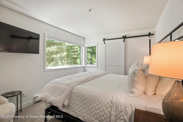 carpeted bedroom featuring a barn door