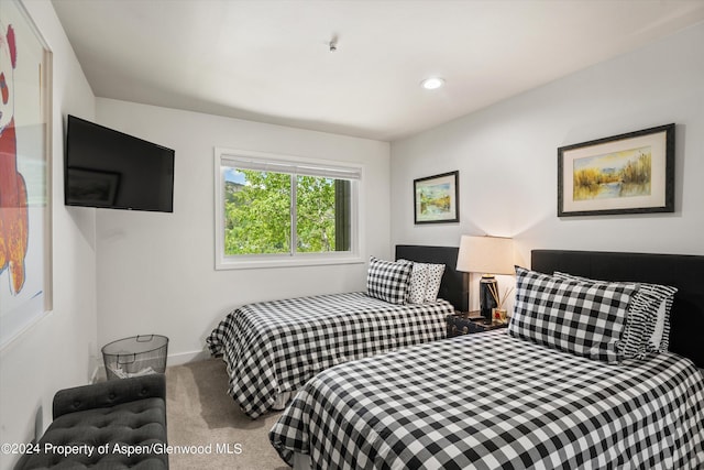 bedroom featuring carpet