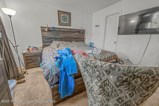 714 Westridge Rd, Craig, CO 81625 - bedroom with a textured ceiling and carpet