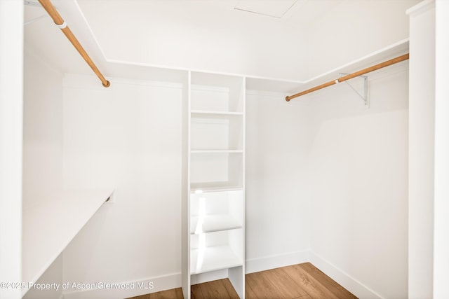 spacious closet with hardwood / wood-style floors