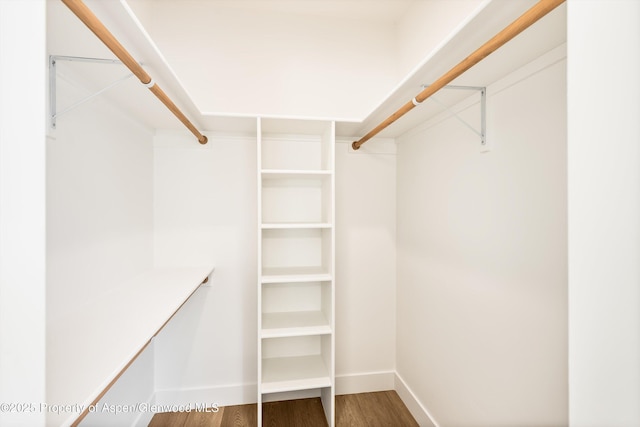 spacious closet featuring hardwood / wood-style floors