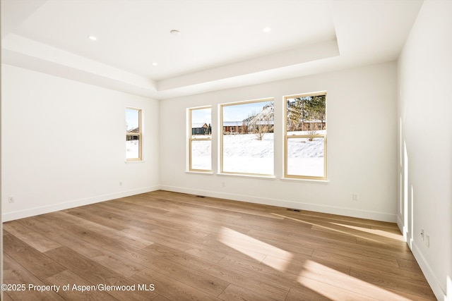 spare room with a raised ceiling and light wood-type flooring