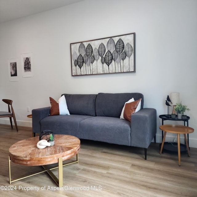 living room with wood-type flooring