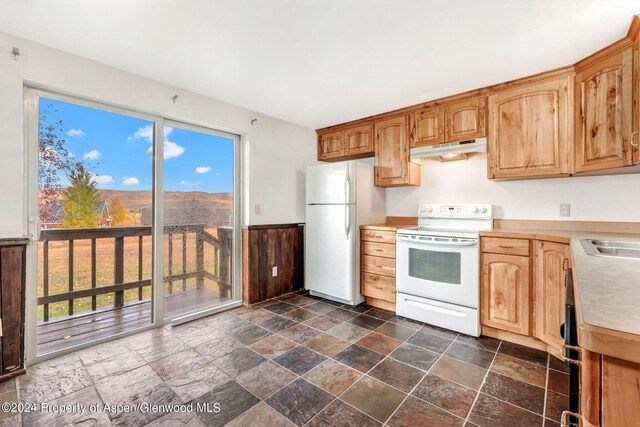 244 S Harvest Dr, Hayden, CO 81639 - photo 8