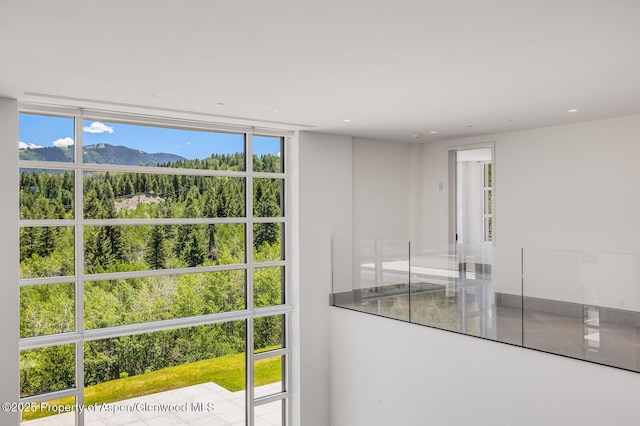 401 Eagle Park Dr, Aspen, CO 81611 - photo 21