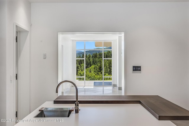 401 Eagle Park Dr, Aspen, CO 81611 - photo 25