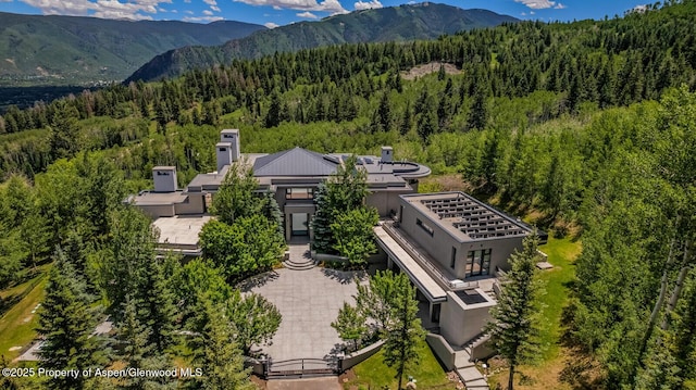 401 Eagle Park Dr, Aspen, CO 81611 - photo 101