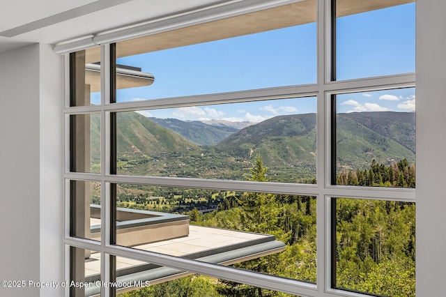 401 Eagle Park Dr, Aspen, CO 81611 - photo 20