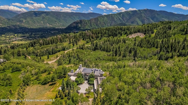401 Eagle Park Dr, Aspen, CO 81611 - photo 98