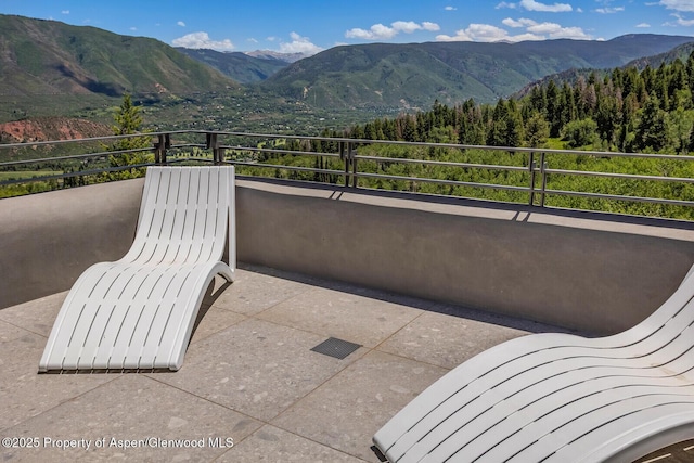 401 Eagle Park Dr, Aspen, CO 81611 - photo 86