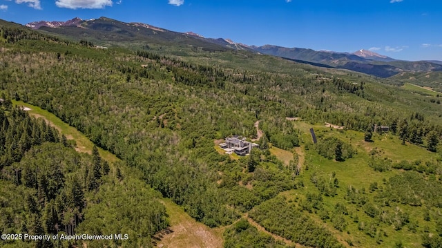 401 Eagle Park Dr, Aspen, CO 81611 - photo 95